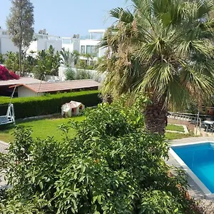 book here